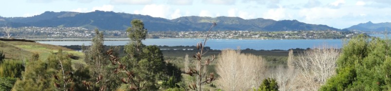 Whangarie